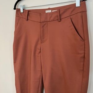 A New Day Rust colored stretch slacks